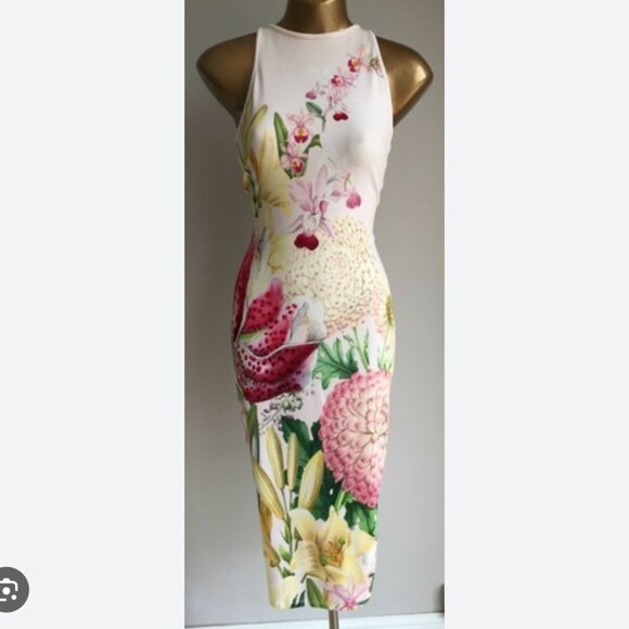 Ted Baker Julee Encyclopedia Floral Midi Dress Size:2 - Picture 2 of 9